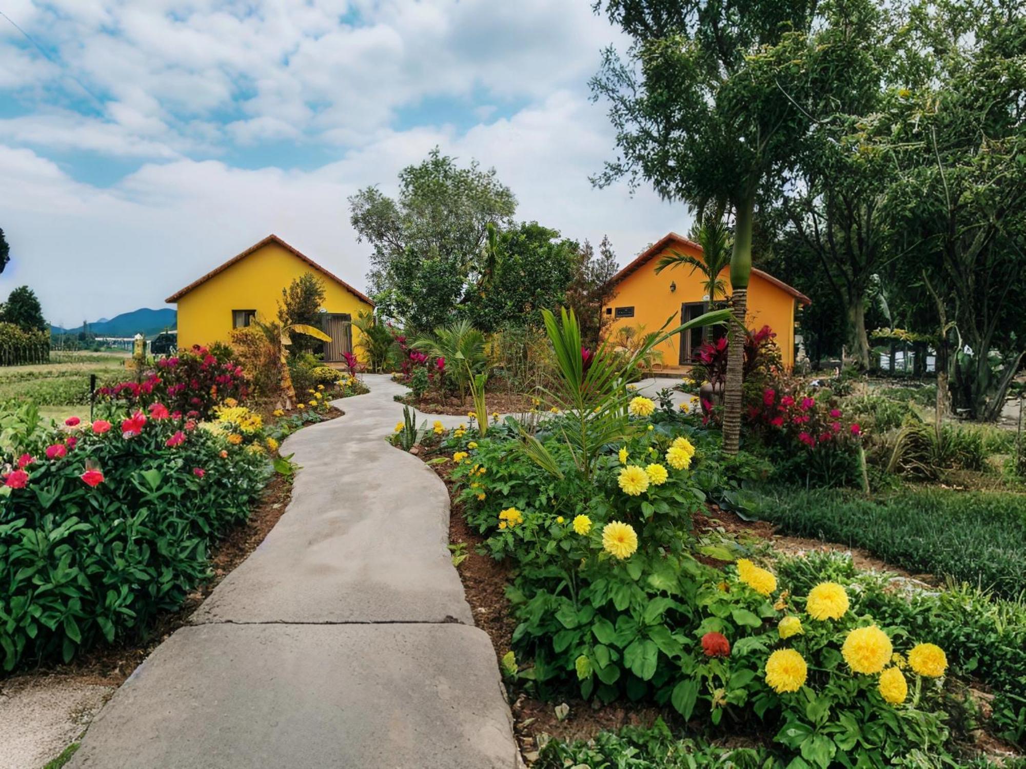 Ninh Binh Peaceful Retreat Villa Luaran gambar